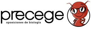 Precege